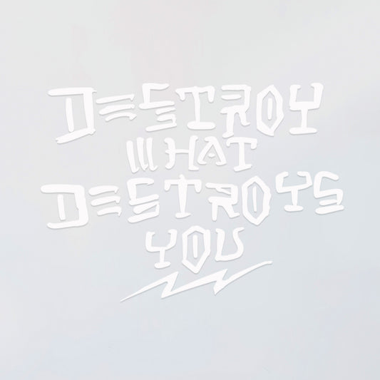 Destroy What Destroys You Decal