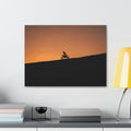Silhouette