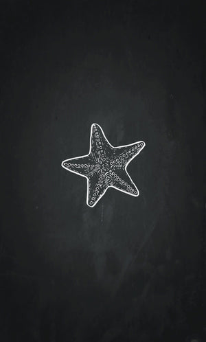 "Starfish story..."  🏁 On Any Sundays