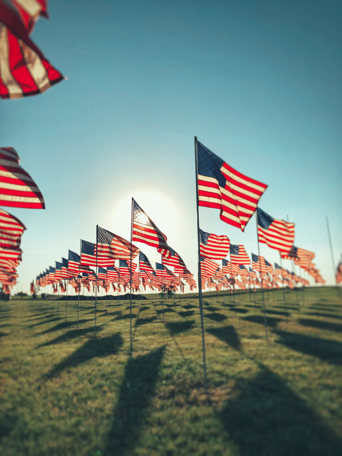 Sturgis Buffalo Chip | Field of Flags