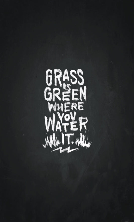 50 Shades of Green... 🏁 On Any Someday