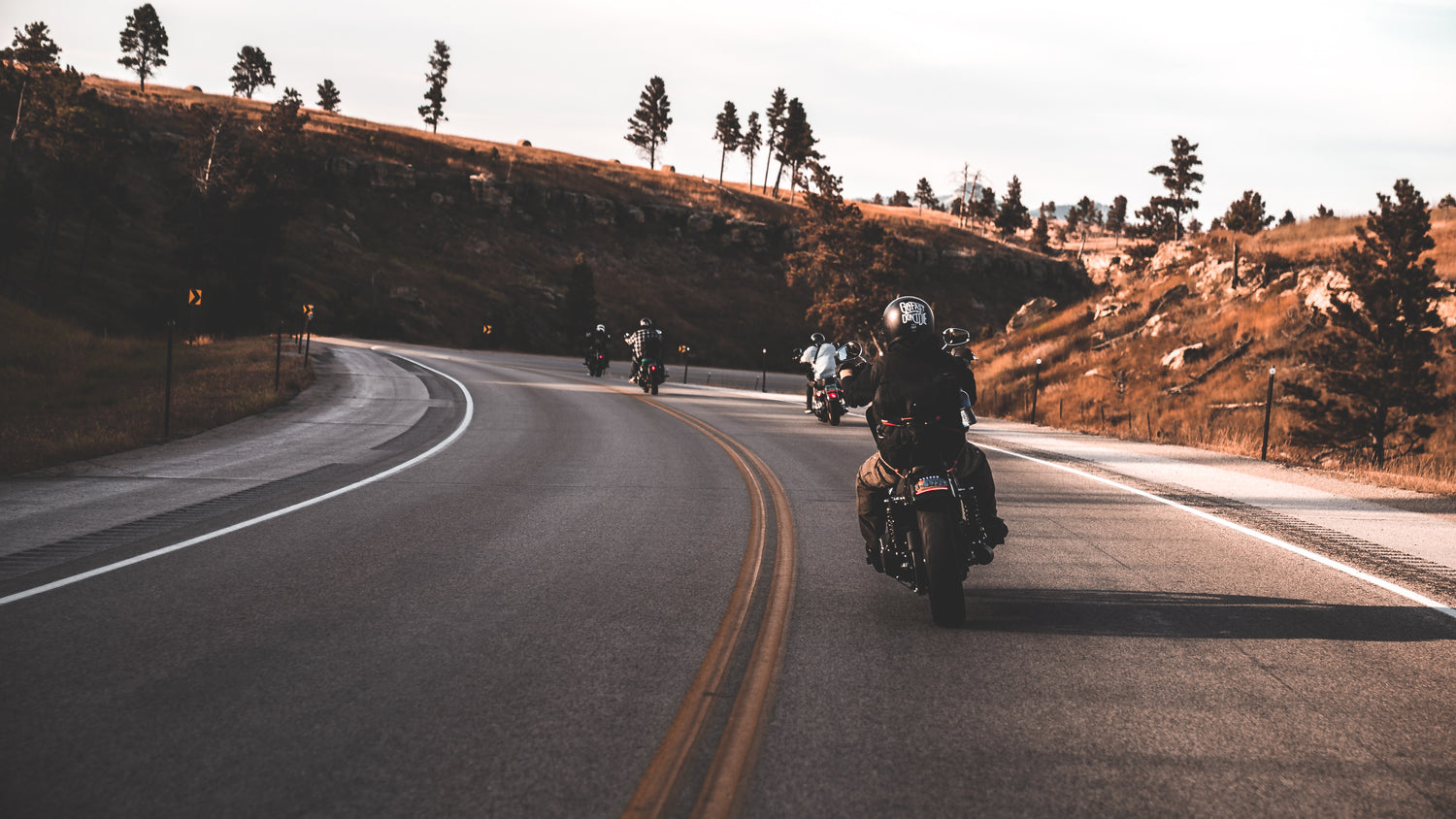 FALL/WINTER 2019 RELEASE